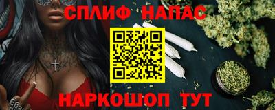 шишки Гай