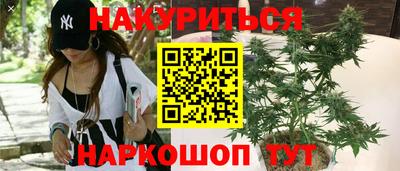 меф Гатчина
