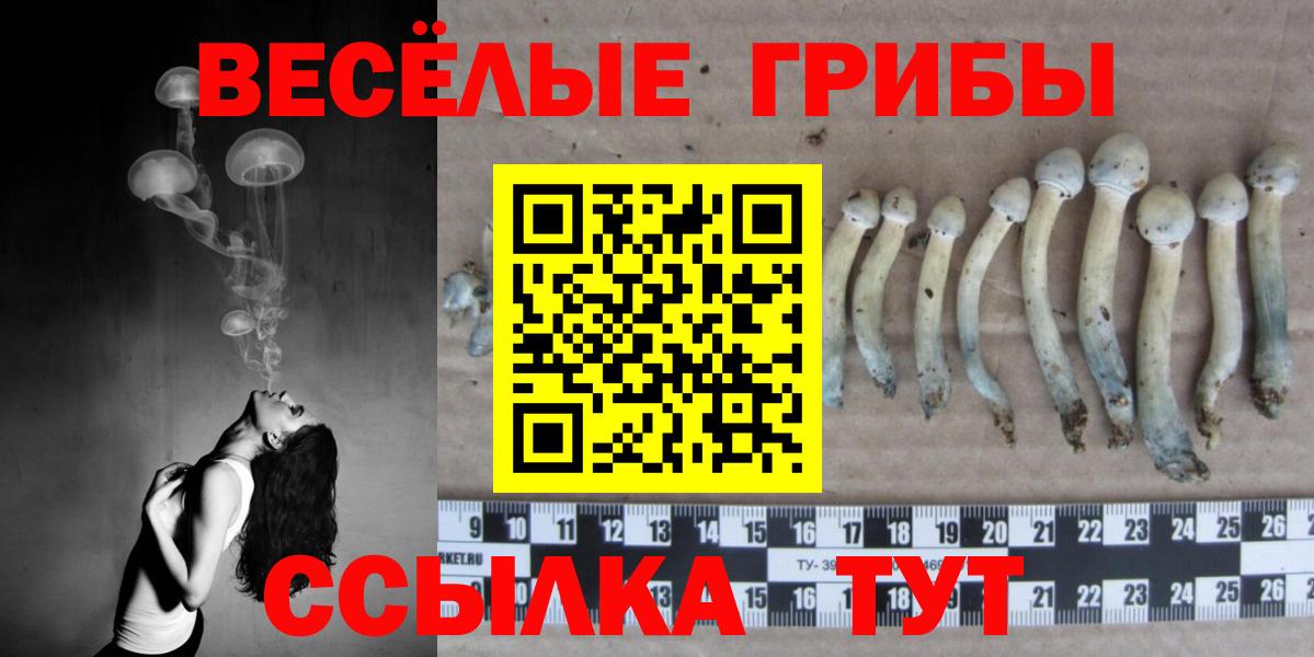 Тихорецк  Галлюциногенные грибы прущие грибы  Вход с VPN  Галлюциногенные грибы MAGIC MUSHROOMS 