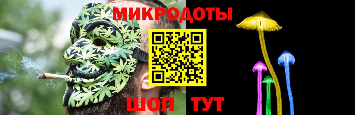 Псилоцибиновые грибы мицелий Тихорецк